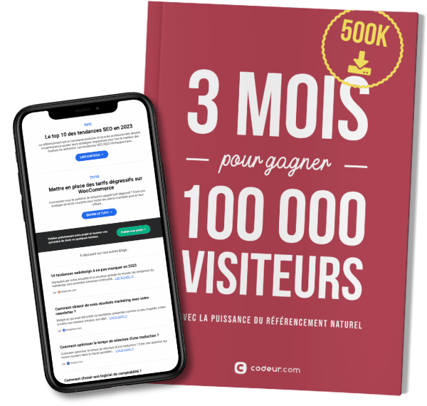 Livre blanc offert - 3 mois pour gagner 100000 visiteurs avec la puissance du référencement naturel